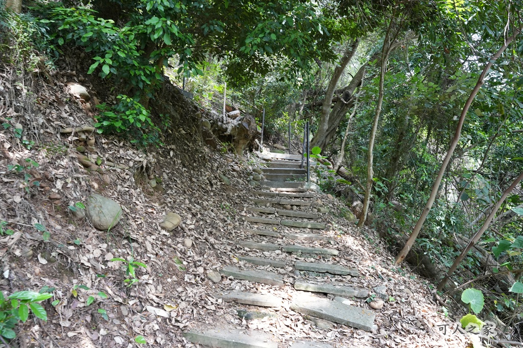 O型步道,季節限定,彰化健行,彰化景點,彰化社頭,拍照景點,森林系,步道推薦,療癒系景點,相思樹,秋日限定,贊天宮,輕鬆爬山,麒麟山步道