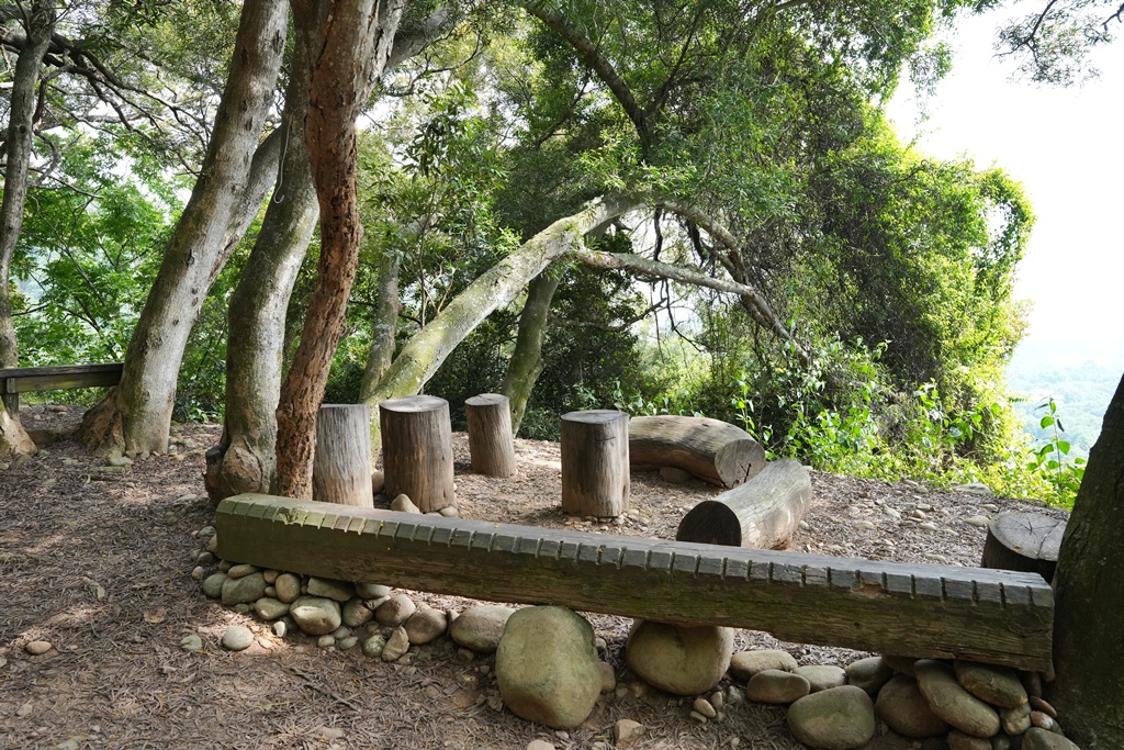 O型步道,季節限定,彰化健行,彰化景點,彰化社頭,拍照景點,森林系,步道推薦,療癒系景點,相思樹,秋日限定,贊天宮,輕鬆爬山,麒麟山步道
