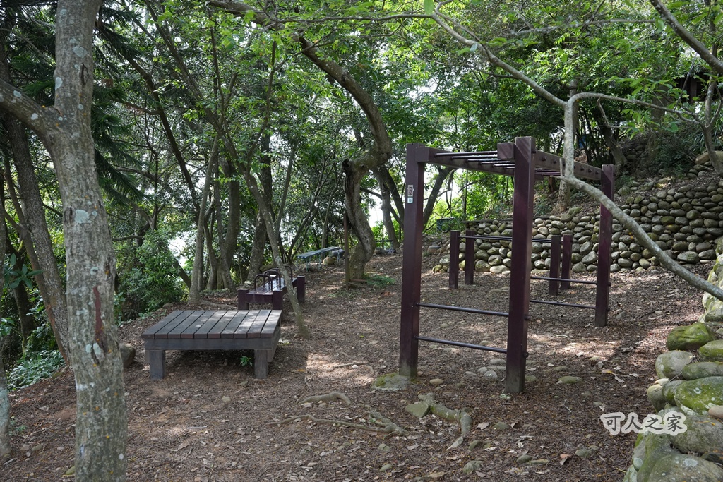 O型步道,季節限定,彰化健行,彰化景點,彰化社頭,拍照景點,森林系,步道推薦,療癒系景點,相思樹,秋日限定,贊天宮,輕鬆爬山,麒麟山步道