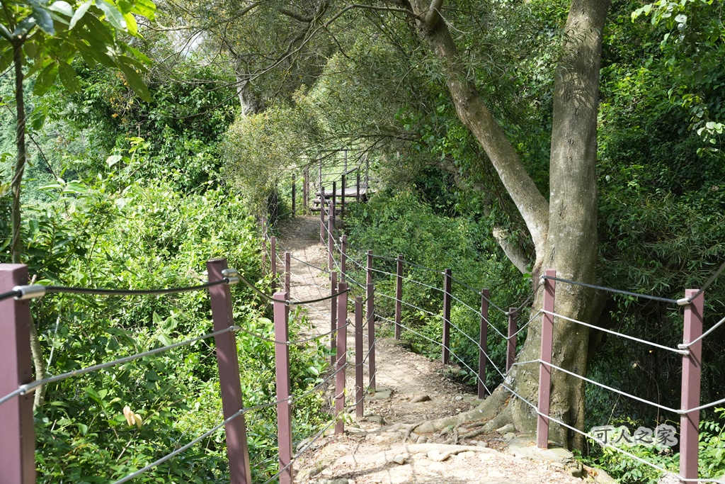 O型步道,季節限定,彰化健行,彰化景點,彰化社頭,拍照景點,森林系,步道推薦,療癒系景點,相思樹,秋日限定,贊天宮,輕鬆爬山,麒麟山步道