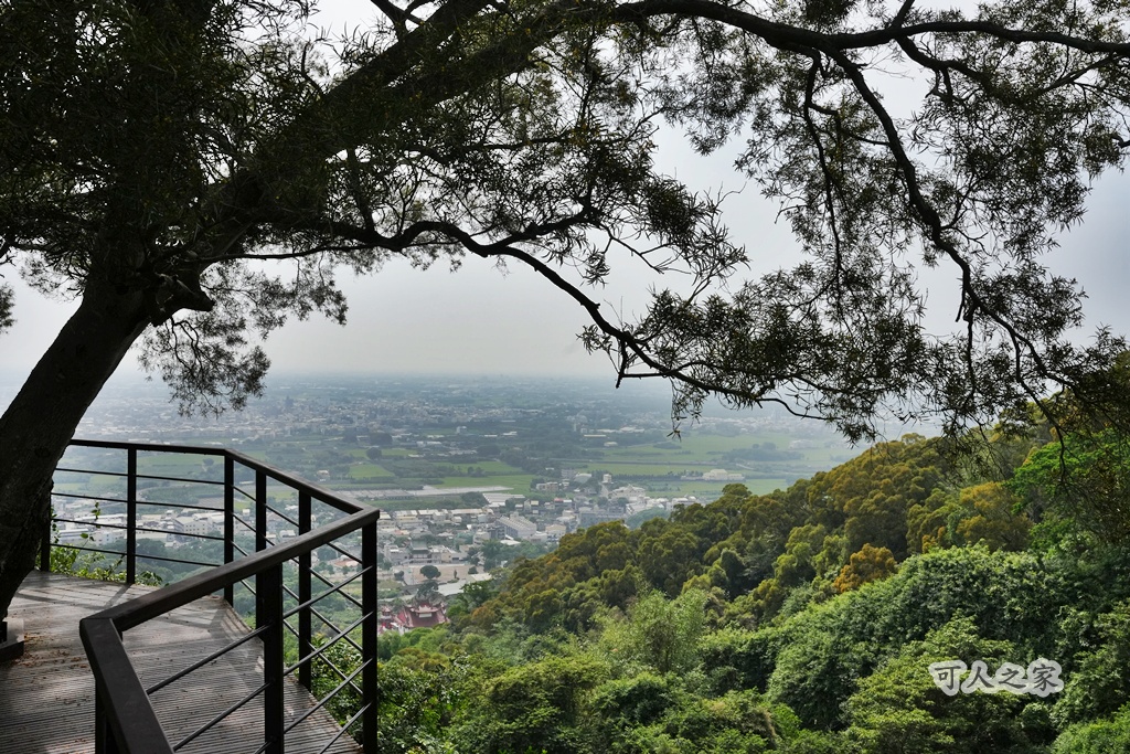 O型步道,季節限定,彰化健行,彰化景點,彰化社頭,拍照景點,森林系,步道推薦,療癒系景點,相思樹,秋日限定,贊天宮,輕鬆爬山,麒麟山步道