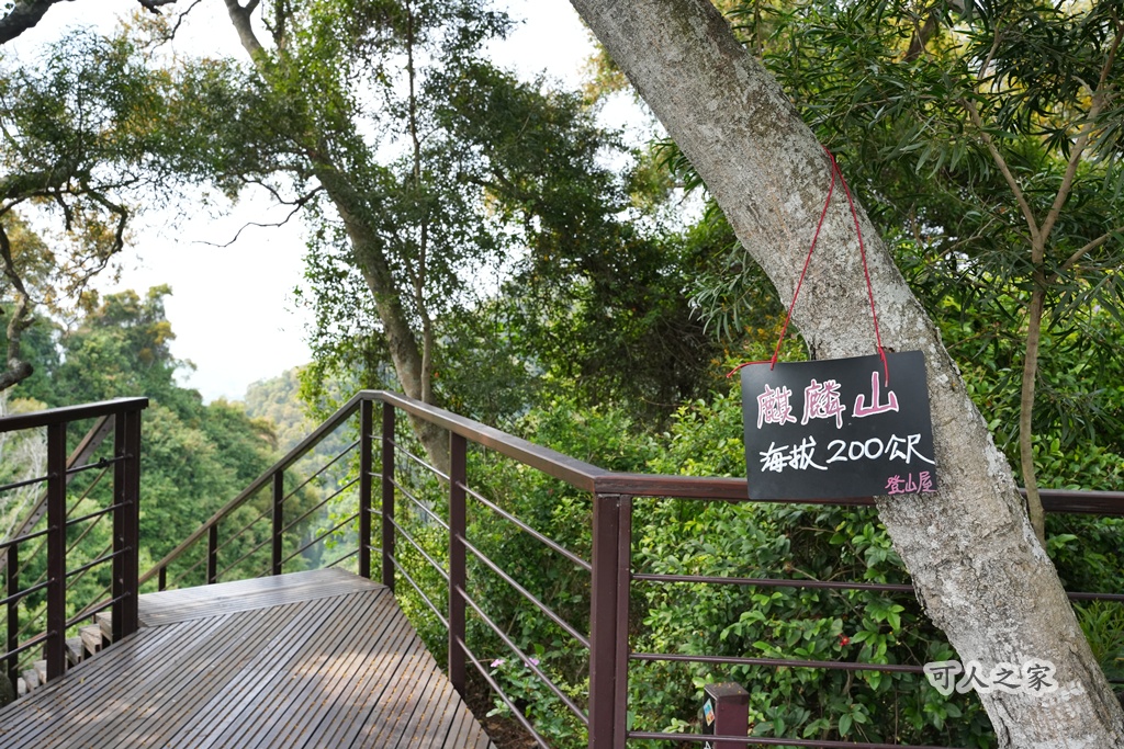 O型步道,季節限定,彰化健行,彰化景點,彰化社頭,拍照景點,森林系,步道推薦,療癒系景點,相思樹,秋日限定,贊天宮,輕鬆爬山,麒麟山步道