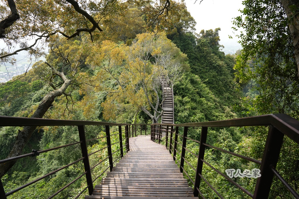 O型步道,季節限定,彰化健行,彰化景點,彰化社頭,拍照景點,森林系,步道推薦,療癒系景點,相思樹,秋日限定,贊天宮,輕鬆爬山,麒麟山步道