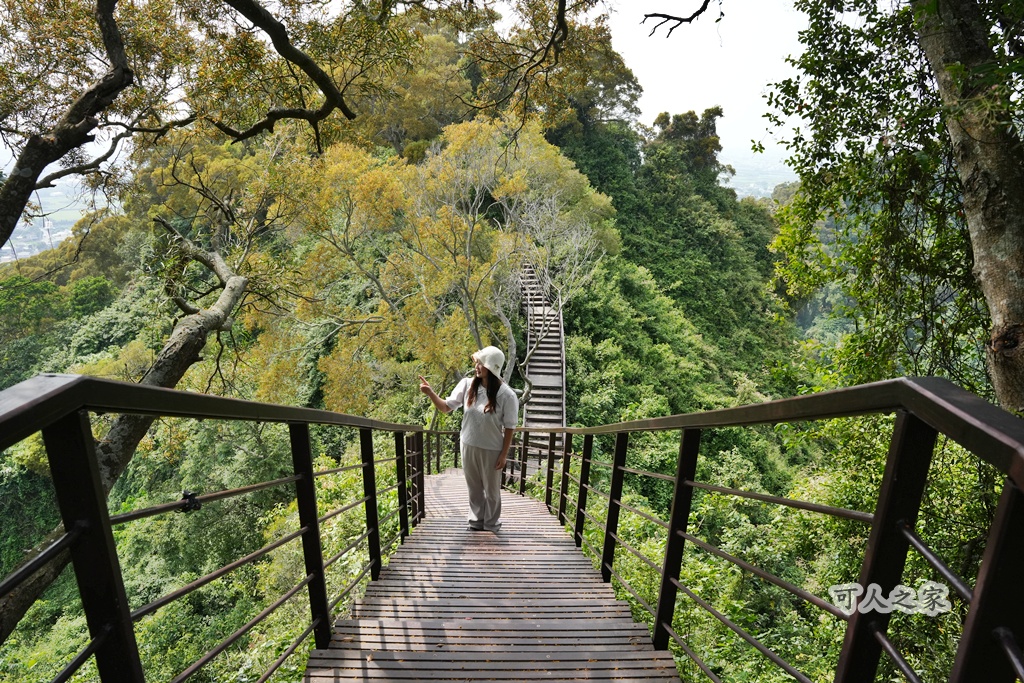 O型步道,季節限定,彰化健行,彰化景點,彰化社頭,拍照景點,森林系,步道推薦,療癒系景點,相思樹,秋日限定,贊天宮,輕鬆爬山,麒麟山步道