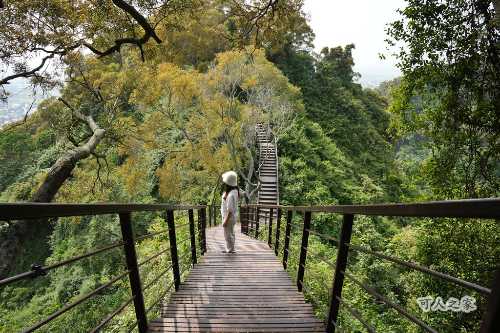 O型步道,季節限定,彰化健行,彰化景點,彰化社頭,拍照景點,森林系,步道推薦,療癒系景點,相思樹,秋日限定,贊天宮,輕鬆爬山,麒麟山步道