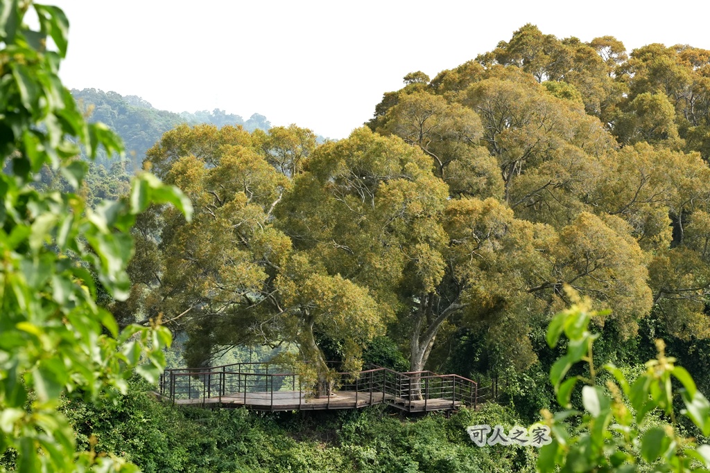 網站近期文章：彰化社頭【麒麟山森林步道】黃金森林限定美景，輕鬆攻頂俯瞰療癒系風景！