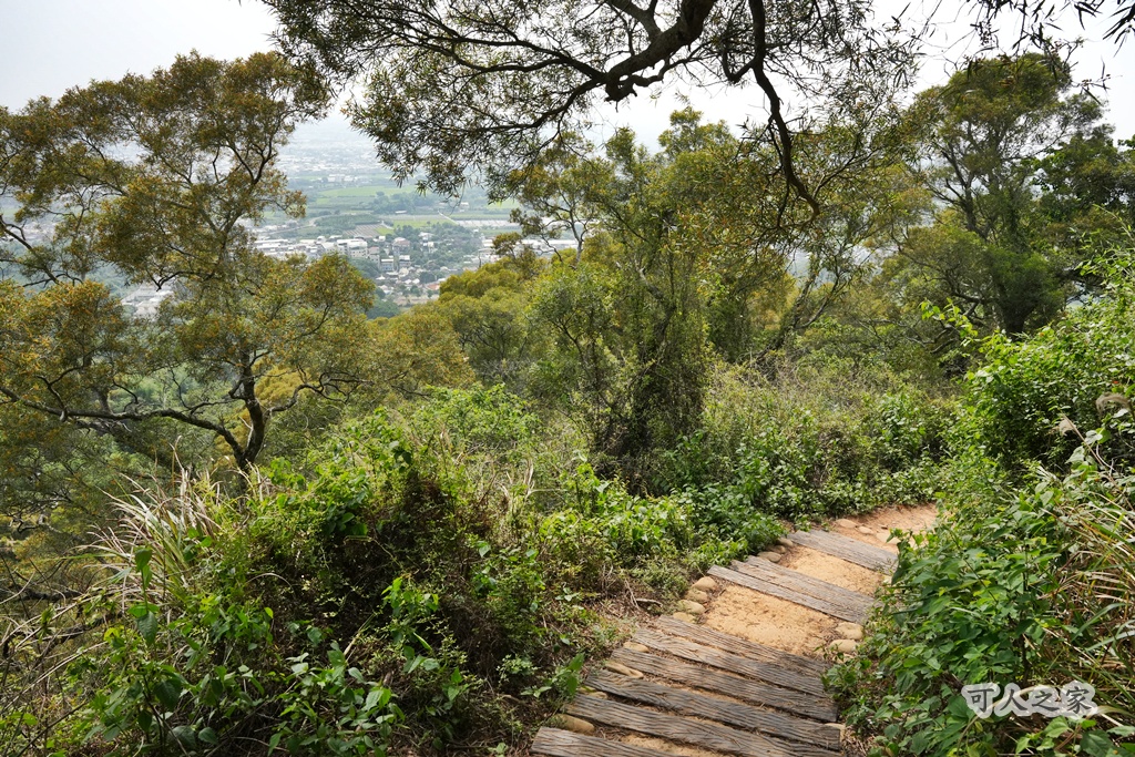 O型步道,季節限定,彰化健行,彰化景點,彰化社頭,拍照景點,森林系,步道推薦,療癒系景點,相思樹,秋日限定,贊天宮,輕鬆爬山,麒麟山步道
