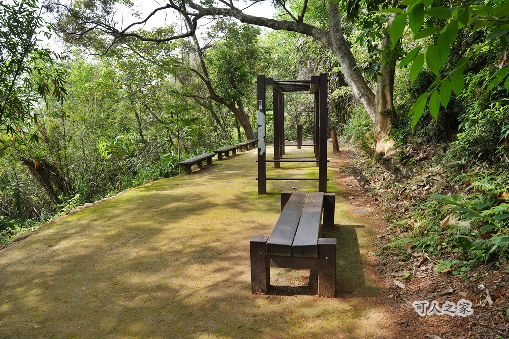 O型步道,季節限定,彰化健行,彰化景點,彰化社頭,拍照景點,森林系,步道推薦,療癒系景點,相思樹,秋日限定,贊天宮,輕鬆爬山,麒麟山步道