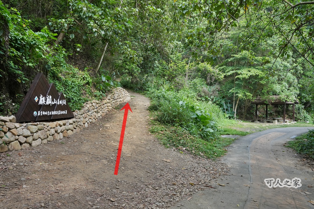 O型步道,季節限定,彰化健行,彰化景點,彰化社頭,拍照景點,森林系,步道推薦,療癒系景點,相思樹,秋日限定,贊天宮,輕鬆爬山,麒麟山步道
