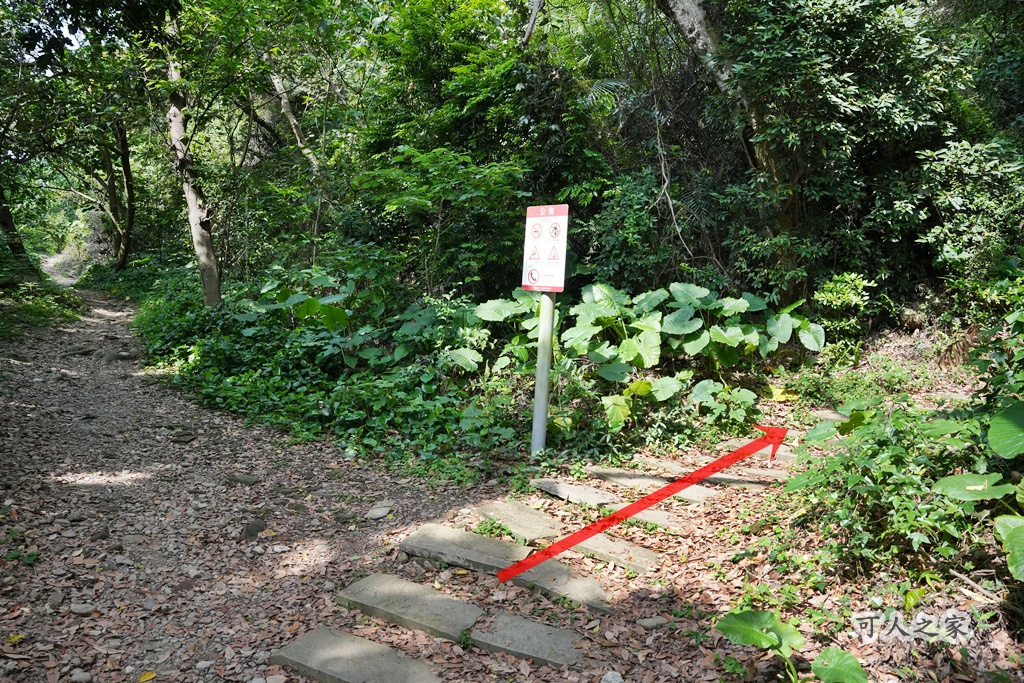 O型步道,季節限定,彰化健行,彰化景點,彰化社頭,拍照景點,森林系,步道推薦,療癒系景點,相思樹,秋日限定,贊天宮,輕鬆爬山,麒麟山步道