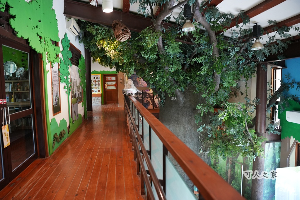 假日好去處,免費景點,嘉義旅遊,嘉義景點,嘉義番路鄉。,導覽解說,戶外活動,森林療癒,樹木銀行,步道健行,生態教育,療癒景點,秘境景點,綠色空間,自然生態,親子旅遊,觸口自然教育中心,阿里山公路景點,阿里山林業