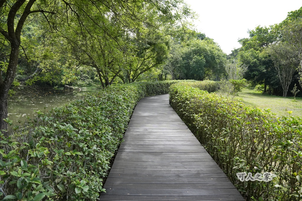 假日好去處,免費景點,嘉義旅遊,嘉義景點,嘉義番路鄉。,導覽解說,戶外活動,森林療癒,樹木銀行,步道健行,生態教育,療癒景點,秘境景點,綠色空間,自然生態,親子旅遊,觸口自然教育中心,阿里山公路景點,阿里山林業 假日好去處,免費景點,嘉義旅遊,嘉義景點,嘉義番路鄉。,導覽解說,戶外活動,森林療癒,樹木銀行,步道健行,生態教育,療癒景點,秘境景點,綠色空間,自然生態,親子旅遊,觸口自然教育中心,阿里山公路景點,阿里山林業
