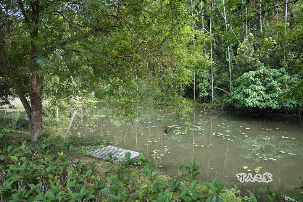 假日好去處,免費景點,嘉義旅遊,嘉義景點,嘉義番路鄉。,導覽解說,戶外活動,森林療癒,樹木銀行,步道健行,生態教育,療癒景點,秘境景點,綠色空間,自然生態,親子旅遊,觸口自然教育中心,阿里山公路景點,阿里山林業 假日好去處,免費景點,嘉義旅遊,嘉義景點,嘉義番路鄉。,導覽解說,戶外活動,森林療癒,樹木銀行,步道健行,生態教育,療癒景點,秘境景點,綠色空間,自然生態,親子旅遊,觸口自然教育中心,阿里山公路景點,阿里山林業