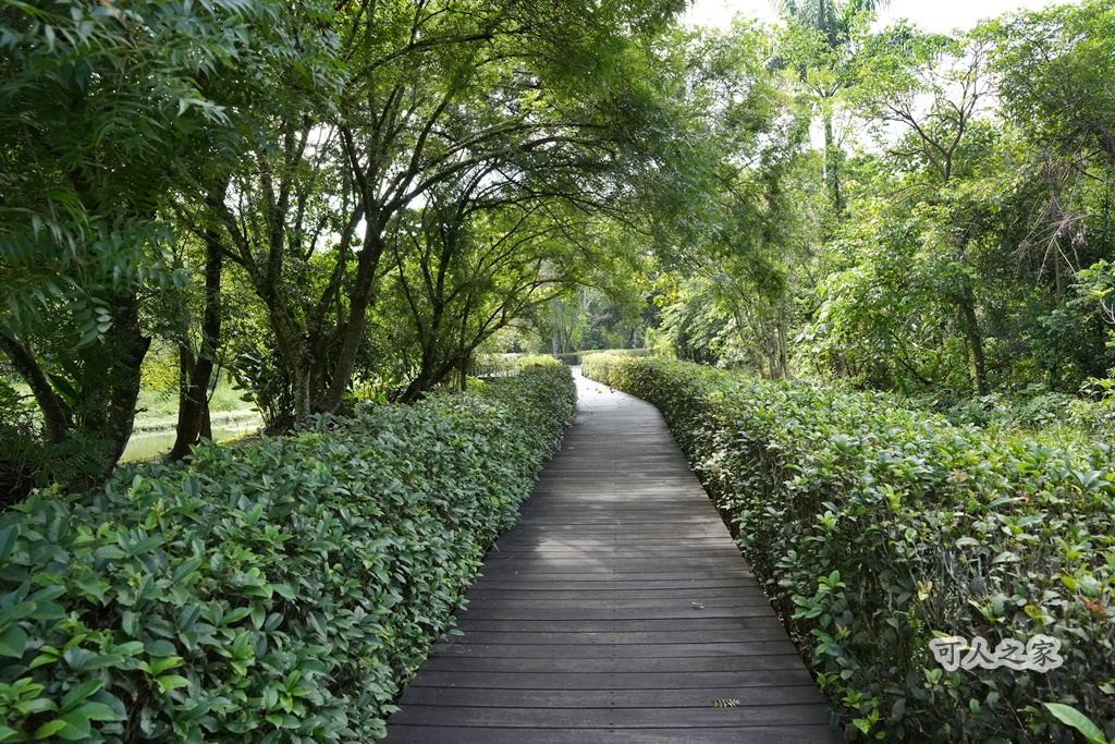 假日好去處,免費景點,嘉義旅遊,嘉義景點,嘉義番路鄉。,導覽解說,戶外活動,森林療癒,樹木銀行,步道健行,生態教育,療癒景點,秘境景點,綠色空間,自然生態,親子旅遊,觸口自然教育中心,阿里山公路景點,阿里山林業 假日好去處,免費景點,嘉義旅遊,嘉義景點,嘉義番路鄉。,導覽解說,戶外活動,森林療癒,樹木銀行,步道健行,生態教育,療癒景點,秘境景點,綠色空間,自然生態,親子旅遊,觸口自然教育中心,阿里山公路景點,阿里山林業