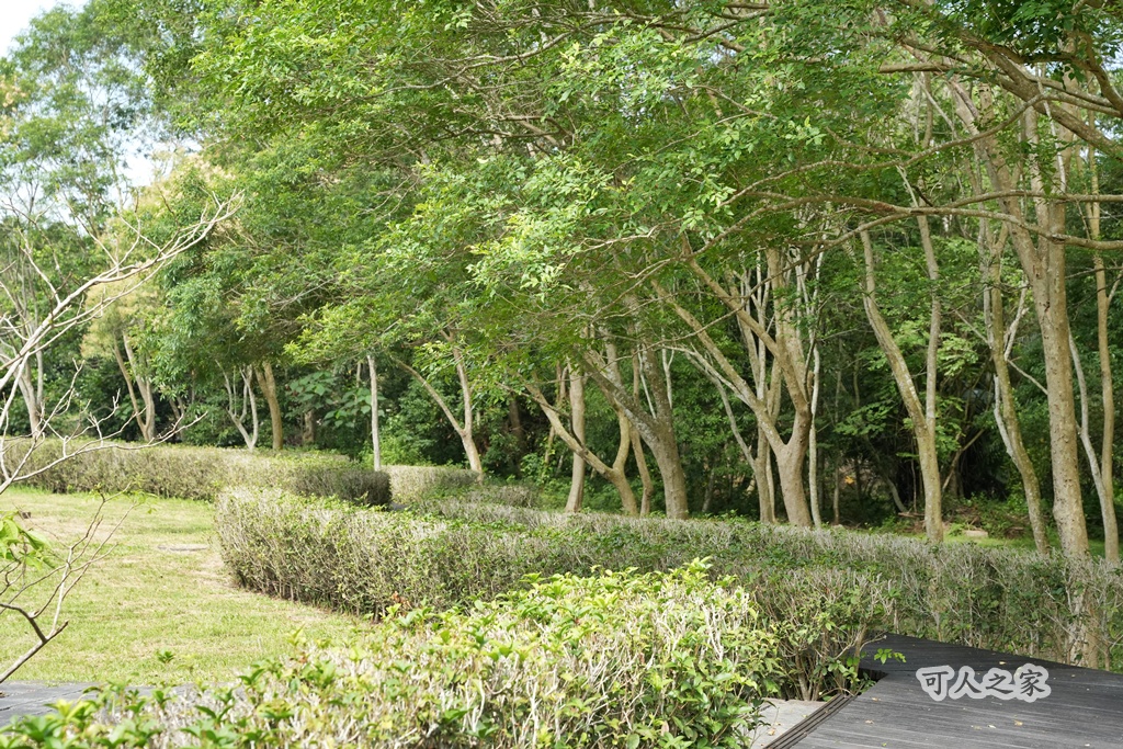 假日好去處,免費景點,嘉義旅遊,嘉義景點,嘉義番路鄉。,導覽解說,戶外活動,森林療癒,樹木銀行,步道健行,生態教育,療癒景點,秘境景點,綠色空間,自然生態,親子旅遊,觸口自然教育中心,阿里山公路景點,阿里山林業 假日好去處,免費景點,嘉義旅遊,嘉義景點,嘉義番路鄉。,導覽解說,戶外活動,森林療癒,樹木銀行,步道健行,生態教育,療癒景點,秘境景點,綠色空間,自然生態,親子旅遊,觸口自然教育中心,阿里山公路景點,阿里山林業