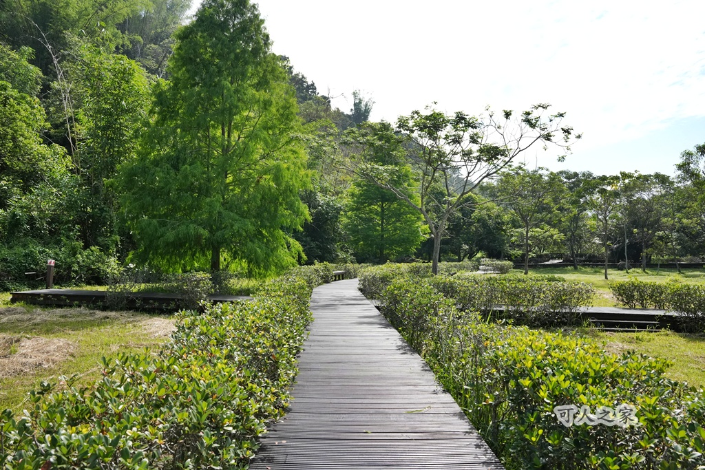 假日好去處,免費景點,嘉義旅遊,嘉義景點,嘉義番路鄉。,導覽解說,戶外活動,森林療癒,樹木銀行,步道健行,生態教育,療癒景點,秘境景點,綠色空間,自然生態,親子旅遊,觸口自然教育中心,阿里山公路景點,阿里山林業