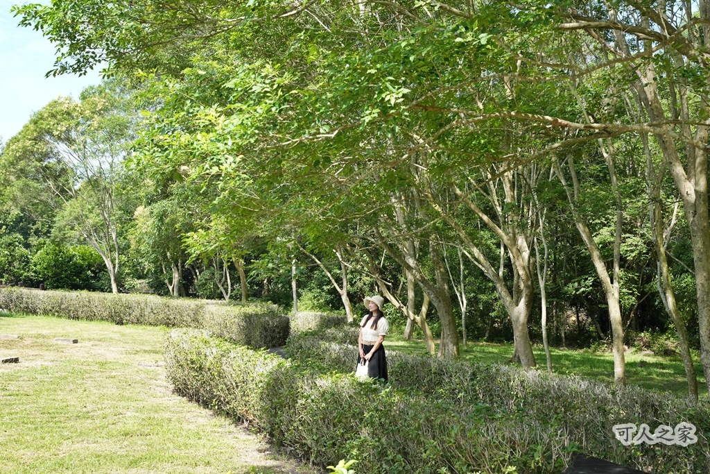 假日好去處,免費景點,嘉義旅遊,嘉義景點,嘉義番路鄉。,導覽解說,戶外活動,森林療癒,樹木銀行,步道健行,生態教育,療癒景點,秘境景點,綠色空間,自然生態,親子旅遊,觸口自然教育中心,阿里山公路景點,阿里山林業 假日好去處,免費景點,嘉義旅遊,嘉義景點,嘉義番路鄉。,導覽解說,戶外活動,森林療癒,樹木銀行,步道健行,生態教育,療癒景點,秘境景點,綠色空間,自然生態,親子旅遊,觸口自然教育中心,阿里山公路景點,阿里山林業