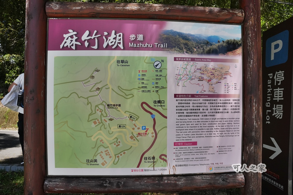 健行推薦,健行路線,台灣旅遊,嘉義番路,涼亭,登山步道,秘境步道,竹林步道,茶海步道,視野遼闊,親子步道,觀景台,輕鬆爬山,阿里山景點,麻竹湖步道