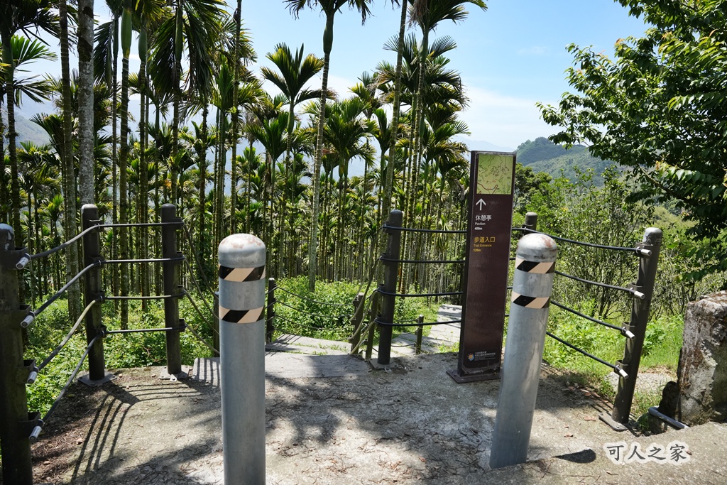 健行推薦,健行路線,台灣旅遊,嘉義番路,涼亭,登山步道,秘境步道,竹林步道,茶海步道,視野遼闊,親子步道,觀景台,輕鬆爬山,阿里山景點,麻竹湖步道