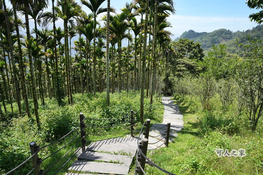 健行推薦,健行路線,台灣旅遊,嘉義番路,涼亭,登山步道,秘境步道,竹林步道,茶海步道,視野遼闊,親子步道,觀景台,輕鬆爬山,阿里山景點,麻竹湖步道