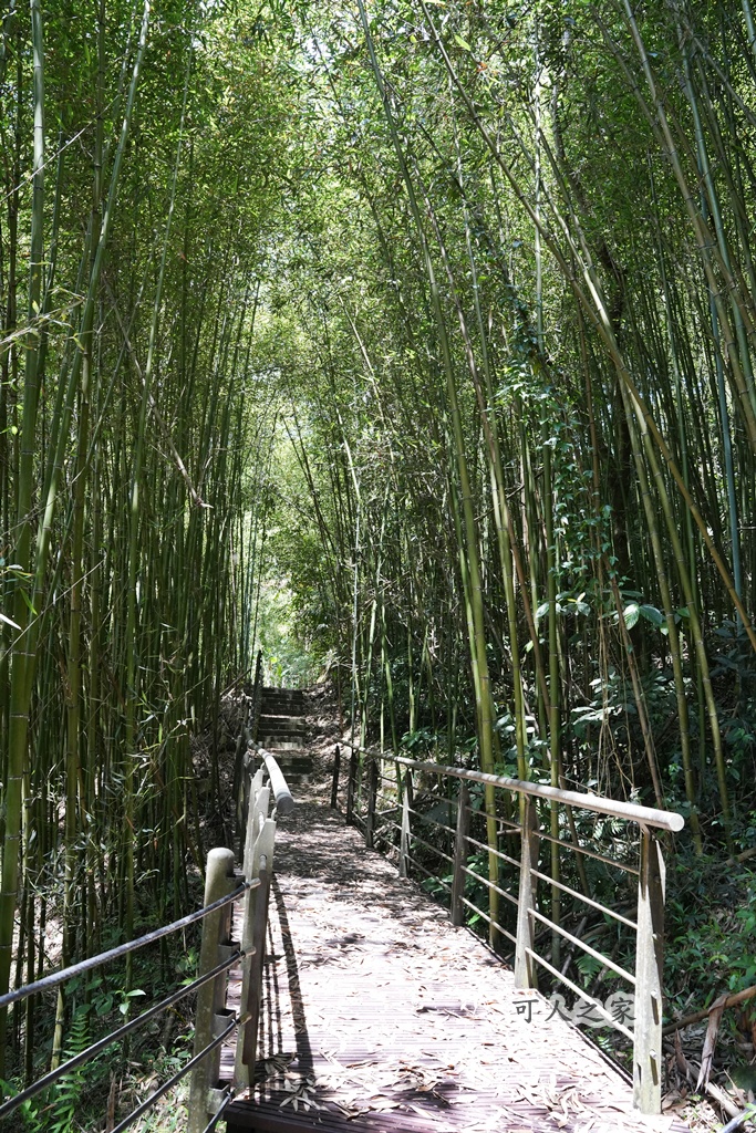 健行推薦,健行路線,台灣旅遊,嘉義番路,涼亭,登山步道,秘境步道,竹林步道,茶海步道,視野遼闊,親子步道,觀景台,輕鬆爬山,阿里山景點,麻竹湖步道