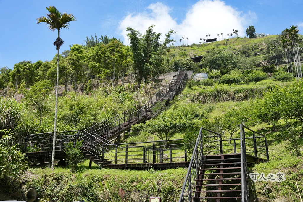 健行推薦,健行路線,台灣旅遊,嘉義番路,涼亭,登山步道,秘境步道,竹林步道,茶海步道,視野遼闊,親子步道,觀景台,輕鬆爬山,阿里山景點,麻竹湖步道