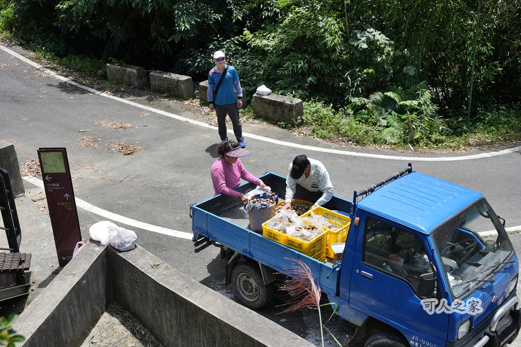 健行推薦,健行路線,台灣旅遊,嘉義番路,涼亭,登山步道,秘境步道,竹林步道,茶海步道,視野遼闊,親子步道,觀景台,輕鬆爬山,阿里山景點,麻竹湖步道