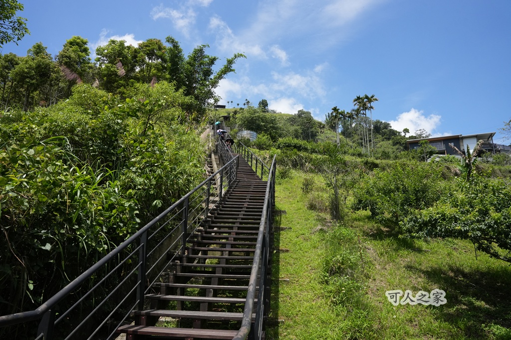 健行推薦,健行路線,台灣旅遊,嘉義番路,涼亭,登山步道,秘境步道,竹林步道,茶海步道,視野遼闊,親子步道,觀景台,輕鬆爬山,阿里山景點,麻竹湖步道