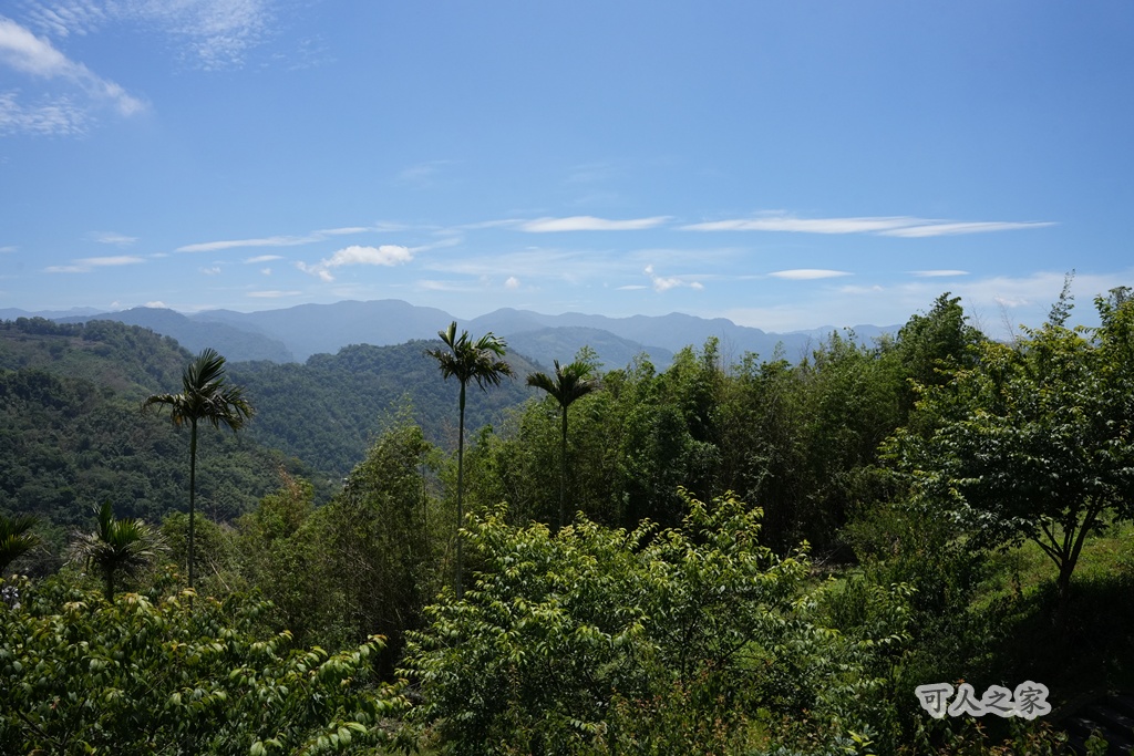 健行推薦,健行路線,台灣旅遊,嘉義番路,涼亭,登山步道,秘境步道,竹林步道,茶海步道,視野遼闊,親子步道,觀景台,輕鬆爬山,阿里山景點,麻竹湖步道