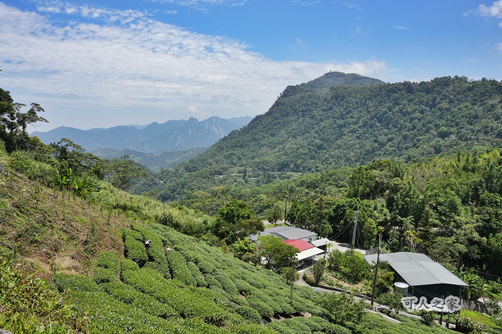 健行推薦,健行路線,台灣旅遊,嘉義番路,涼亭,登山步道,秘境步道,竹林步道,茶海步道,視野遼闊,親子步道,觀景台,輕鬆爬山,阿里山景點,麻竹湖步道