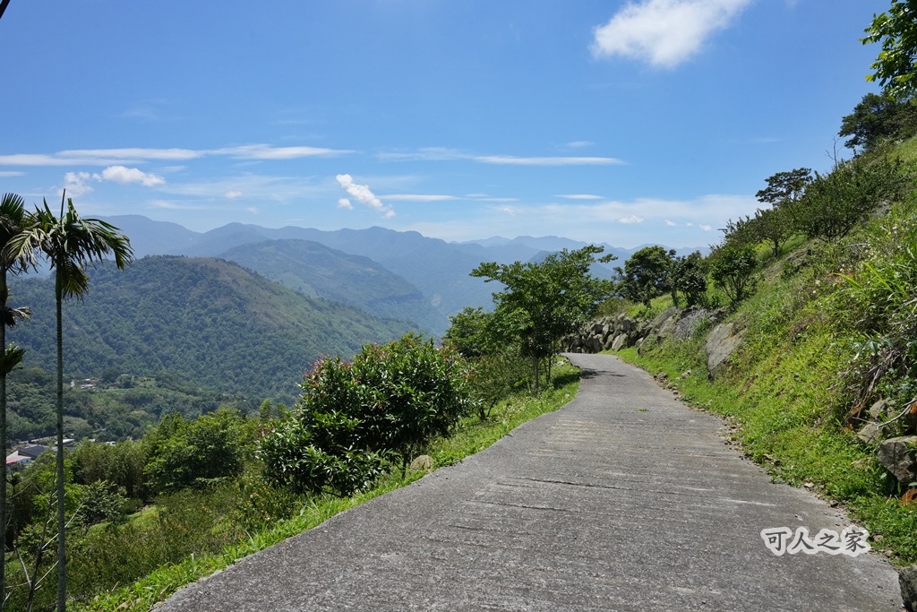 健行推薦,健行路線,台灣旅遊,嘉義番路,涼亭,登山步道,秘境步道,竹林步道,茶海步道,視野遼闊,親子步道,觀景台,輕鬆爬山,阿里山景點,麻竹湖步道