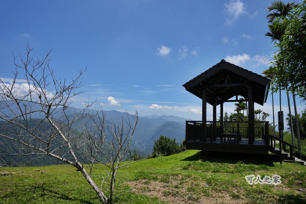健行推薦,健行路線,台灣旅遊,嘉義番路,涼亭,登山步道,秘境步道,竹林步道,茶海步道,視野遼闊,親子步道,觀景台,輕鬆爬山,阿里山景點,麻竹湖步道