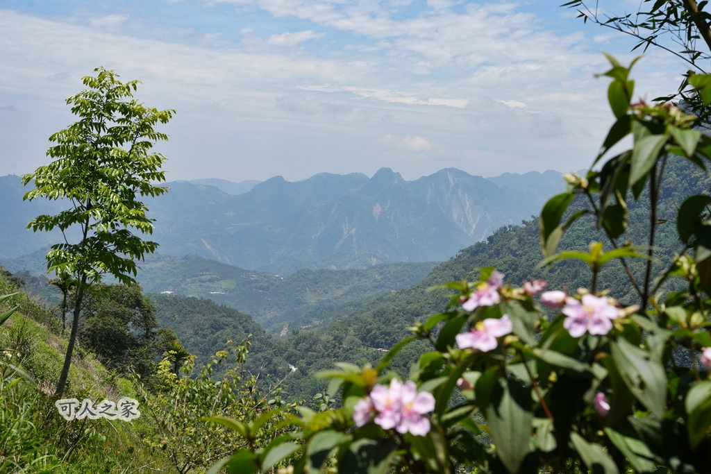 健行推薦,健行路線,台灣旅遊,嘉義番路,涼亭,登山步道,秘境步道,竹林步道,茶海步道,視野遼闊,親子步道,觀景台,輕鬆爬山,阿里山景點,麻竹湖步道