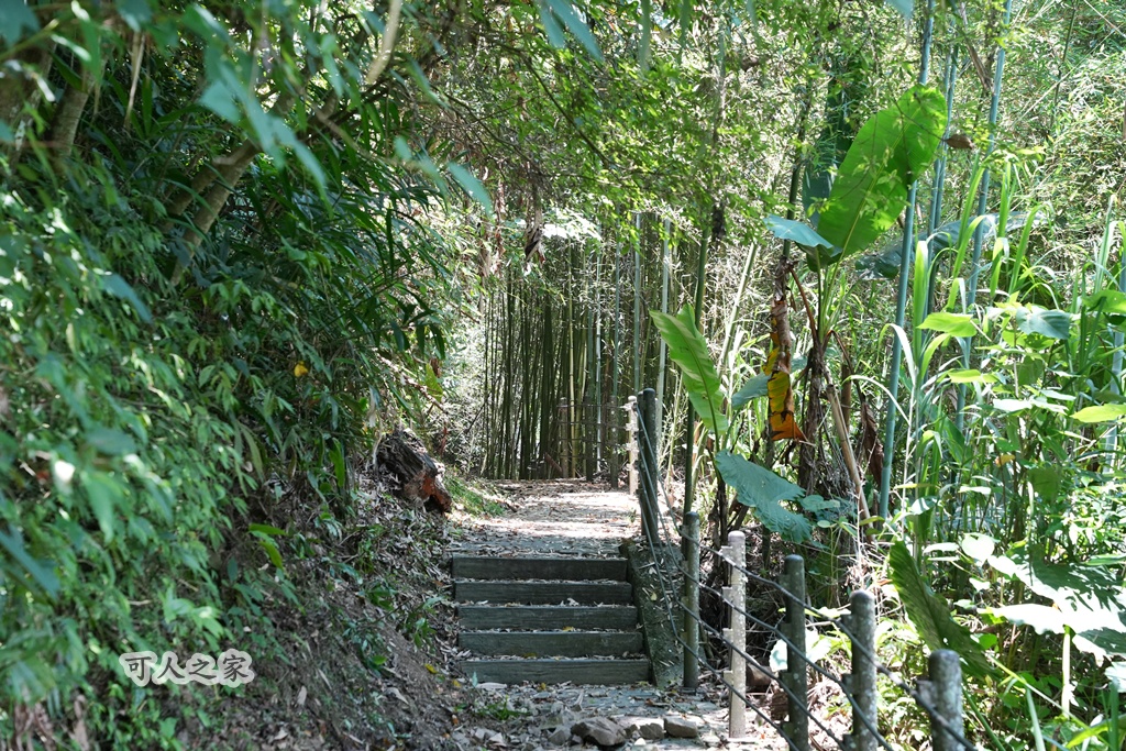 健行推薦,健行路線,台灣旅遊,嘉義番路,涼亭,登山步道,秘境步道,竹林步道,茶海步道,視野遼闊,親子步道,觀景台,輕鬆爬山,阿里山景點,麻竹湖步道