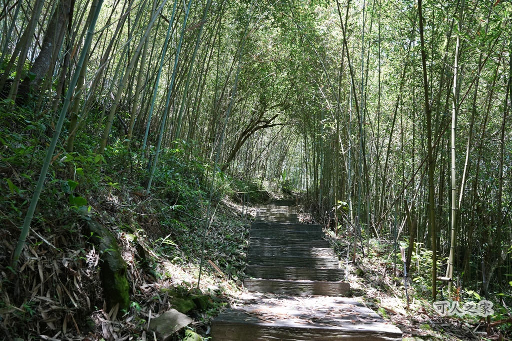 健行推薦,健行路線,台灣旅遊,嘉義番路,涼亭,登山步道,秘境步道,竹林步道,茶海步道,視野遼闊,親子步道,觀景台,輕鬆爬山,阿里山景點,麻竹湖步道
