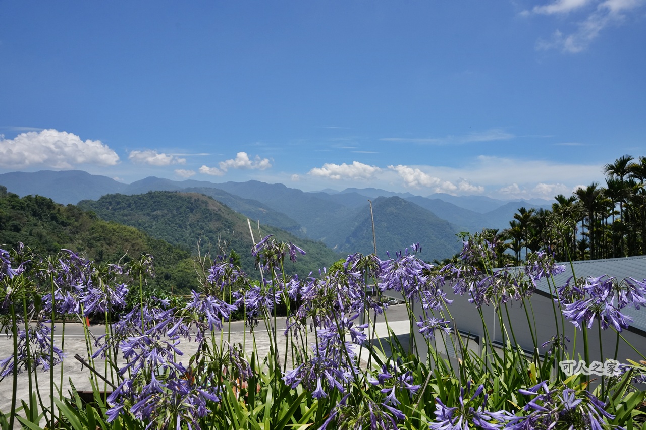 健行推薦,健行路線,台灣旅遊,嘉義番路,涼亭,登山步道,秘境步道,竹林步道,茶海步道,視野遼闊,親子步道,觀景台,輕鬆爬山,阿里山景點,麻竹湖步道