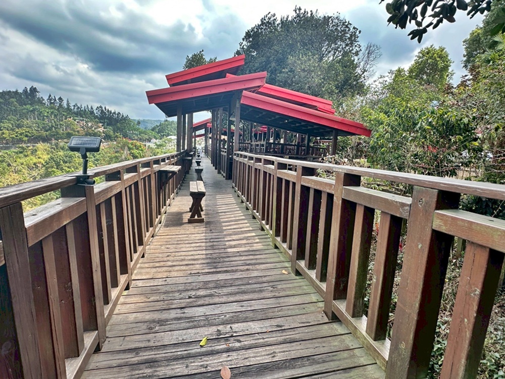 劍湖山摩天輪,古坑美食,慈園樂文創園區,肖楠綠色隧道,茄苳樹,跨年煙火觀賞點,部落格推薦,雲林古坑,雲林旅遊,雲林景觀餐廳