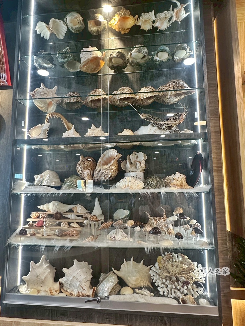 在地人推薦,墾丁熱炒推薦,墾丁美食,家常菜,小杜包子附近美食。,屏東恆春美食,屏東旅遊美食,恆春海鮮餐廳,海咖海鮮家常菜,海鮮料理