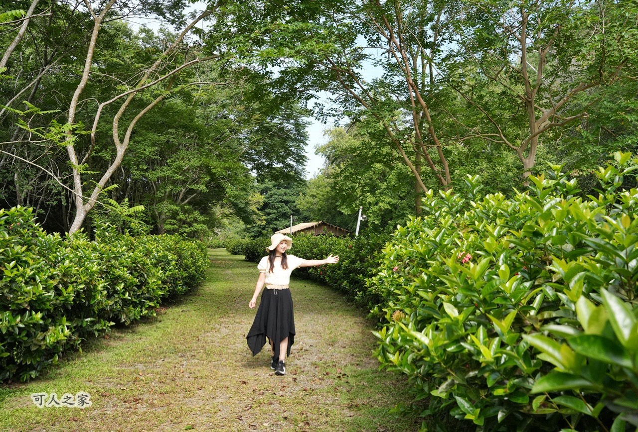 假日好去處,免費景點,嘉義旅遊,嘉義景點,嘉義番路鄉。,導覽解說,戶外活動,森林療癒,樹木銀行,步道健行,生態教育,療癒景點,秘境景點,綠色空間,自然生態,親子旅遊,觸口自然教育中心,阿里山公路景點,阿里山林業 假日好去處,免費景點,嘉義旅遊,嘉義景點,嘉義番路鄉。,導覽解說,戶外活動,森林療癒,樹木銀行,步道健行,生態教育,療癒景點,秘境景點,綠色空間,自然生態,親子旅遊,觸口自然教育中心,阿里山公路景點,阿里山林業