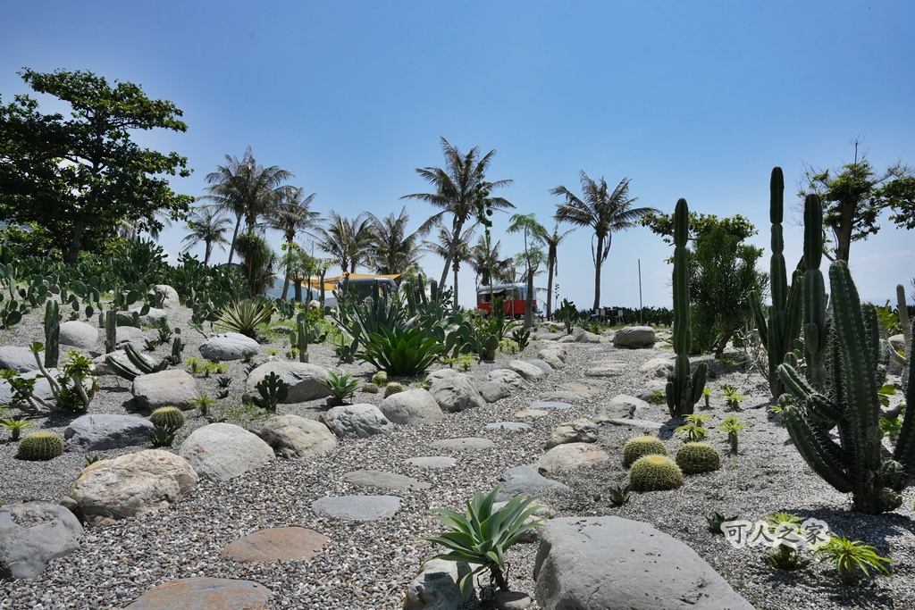 台東新景點【海邊有刺】仙人掌秘境海景第一排!眺望陸連島、悠閒喝咖啡超chill~ @可人之家 @可人之家