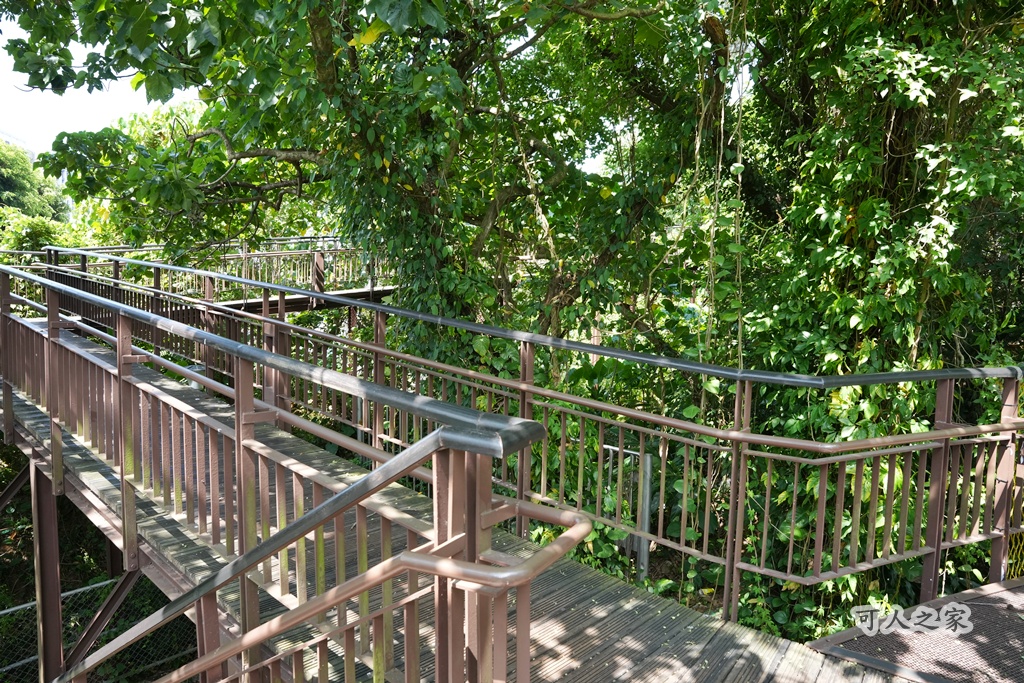 台北秘境【小觀音山木棧道】延伸感十足的木棧道,城市裡的療癒系散步秘境! @可人之家 @可人之家