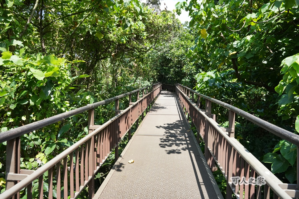 台北秘境【小觀音山木棧道】延伸感十足的木棧道,城市裡的療癒系散步秘境! @可人之家 @可人之家