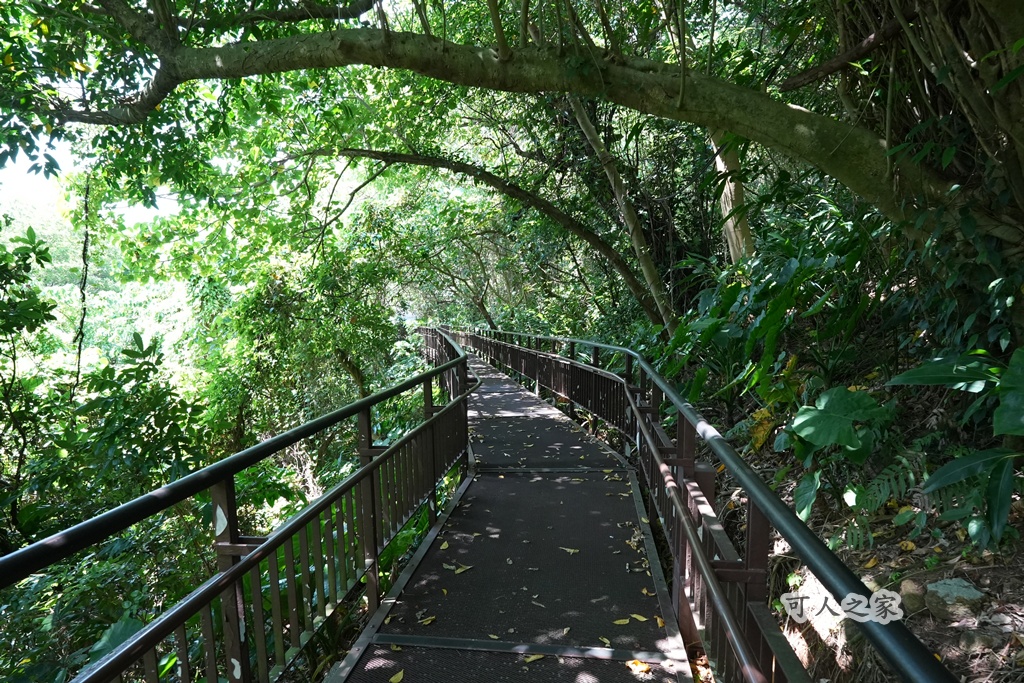 台北秘境【小觀音山木棧道】延伸感十足的木棧道,城市裡的療癒系散步秘境! @可人之家 @可人之家