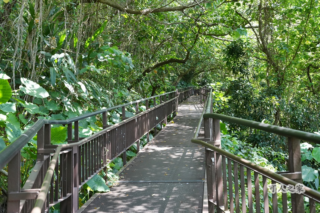 台北秘境【小觀音山木棧道】延伸感十足的木棧道,城市裡的療癒系散步秘境! @可人之家 @可人之家