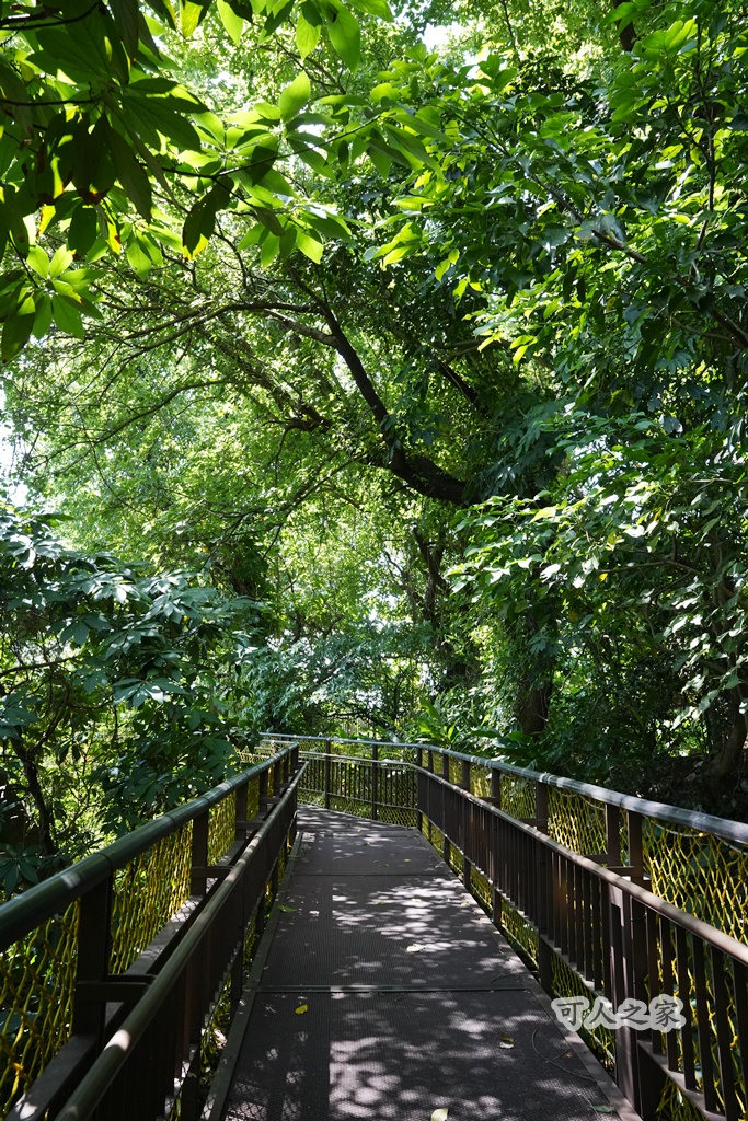 台北秘境【小觀音山木棧道】延伸感十足的木棧道,城市裡的療癒系散步秘境! @可人之家 @可人之家