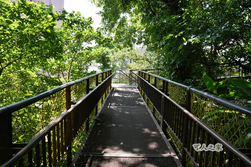 台北秘境【小觀音山木棧道】延伸感十足的木棧道,城市裡的療癒系散步秘境! @可人之家 @可人之家