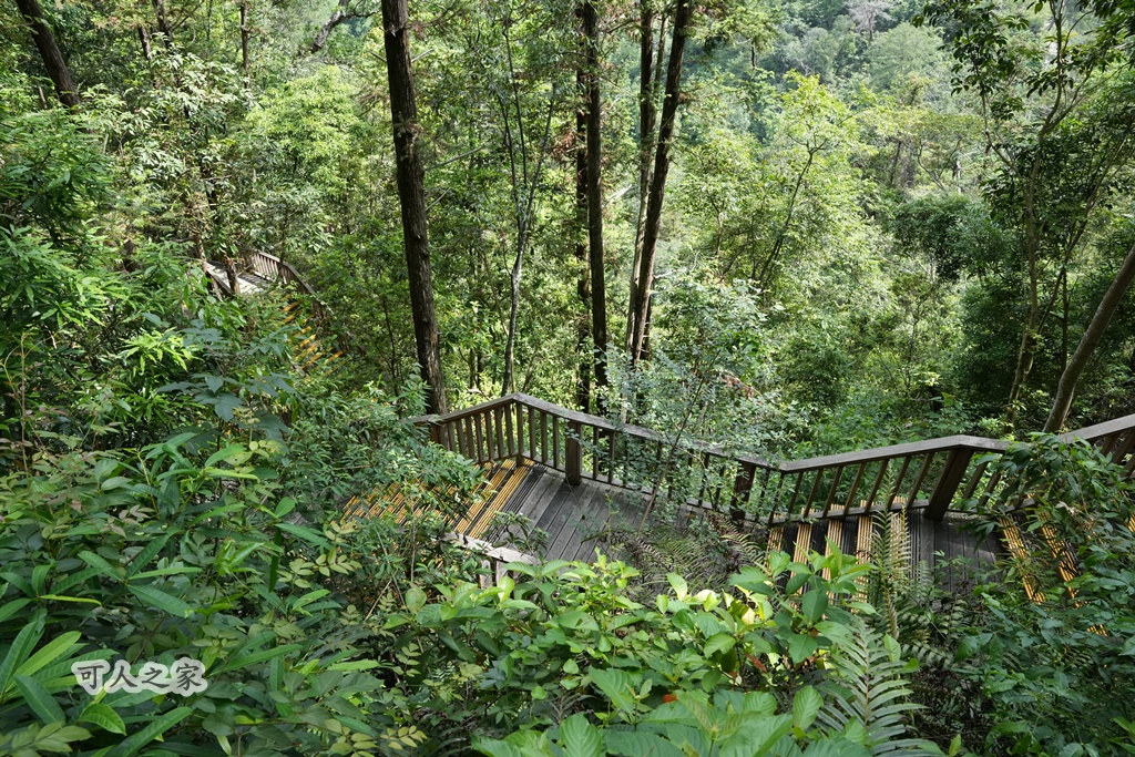 健行推薦,南投旅遊,台灣森林浴,埔里景點,惠蓀林場,惠蓀林場住宿,惠蓀林場涉水步道,登山步道,親子一日遊 健行推薦,南投旅遊,台灣森林浴,埔里景點,惠蓀林場,惠蓀林場住宿,惠蓀林場涉水步道,登山步道,親子一日遊