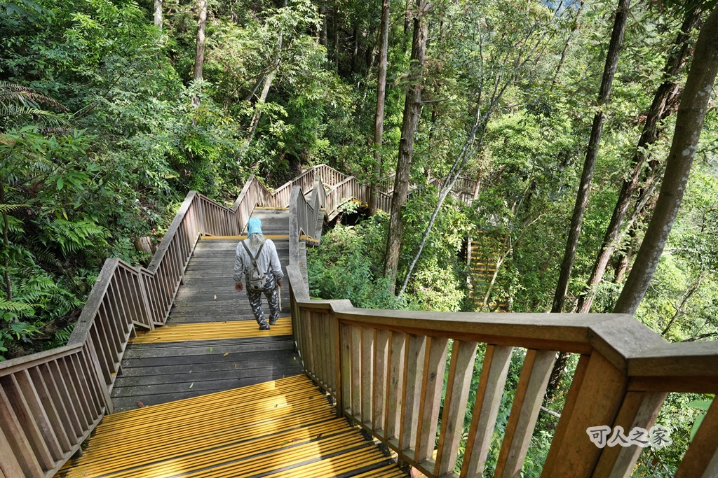 健行推薦,南投旅遊,台灣森林浴,埔里景點,惠蓀林場,惠蓀林場住宿,惠蓀林場涉水步道,登山步道,親子一日遊