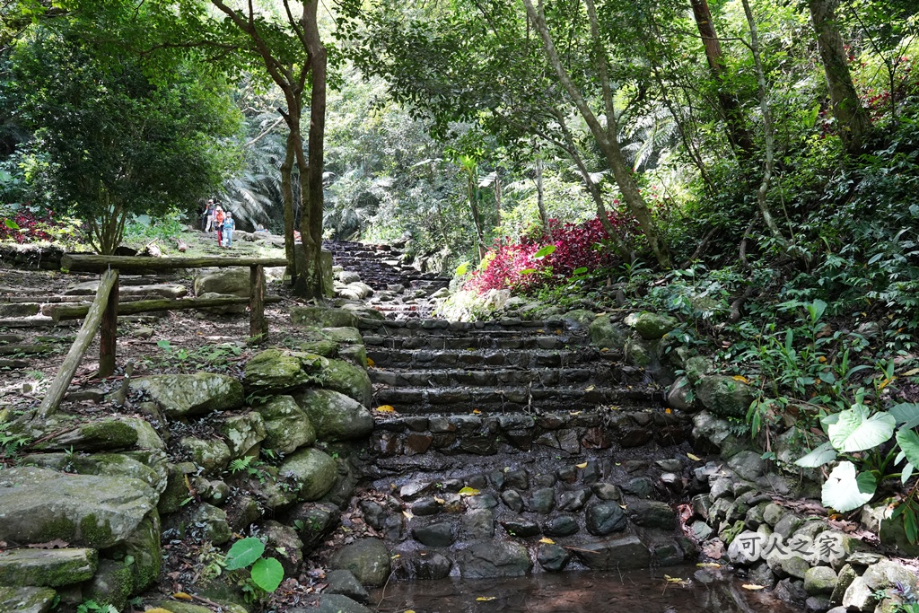 健行推薦,南投旅遊,台灣森林浴,埔里景點,惠蓀林場,惠蓀林場住宿,惠蓀林場涉水步道,登山步道,親子一日遊 健行推薦,南投旅遊,台灣森林浴,埔里景點,惠蓀林場,惠蓀林場住宿,惠蓀林場涉水步道,登山步道,親子一日遊