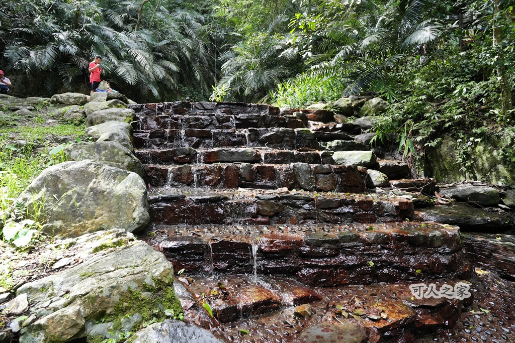 健行推薦,南投旅遊,台灣森林浴,埔里景點,惠蓀林場,惠蓀林場住宿,惠蓀林場涉水步道,登山步道,親子一日遊